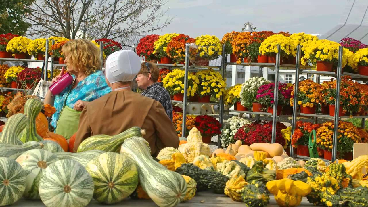 Out N About Columbus: Adams County & Taste of Westerville 4/18/2014