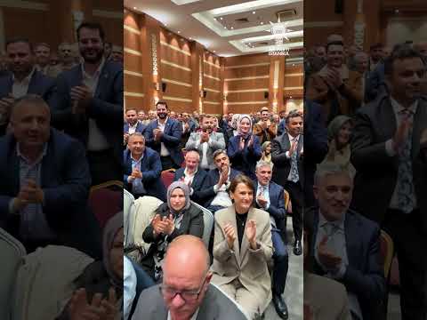 İl Danışma Meclisi