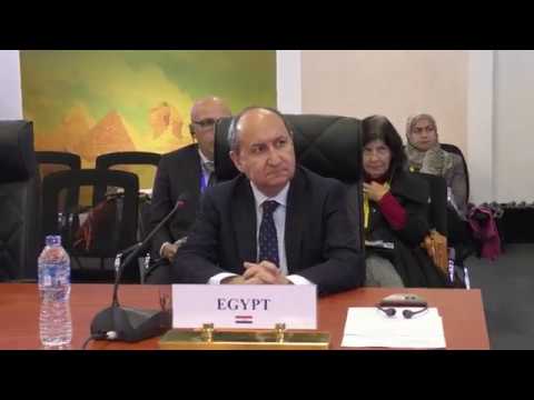 الوزير/عمرو نصار خلال الجلسة الختامية للمؤتمر السابع لوزراء التجارة الافارقة