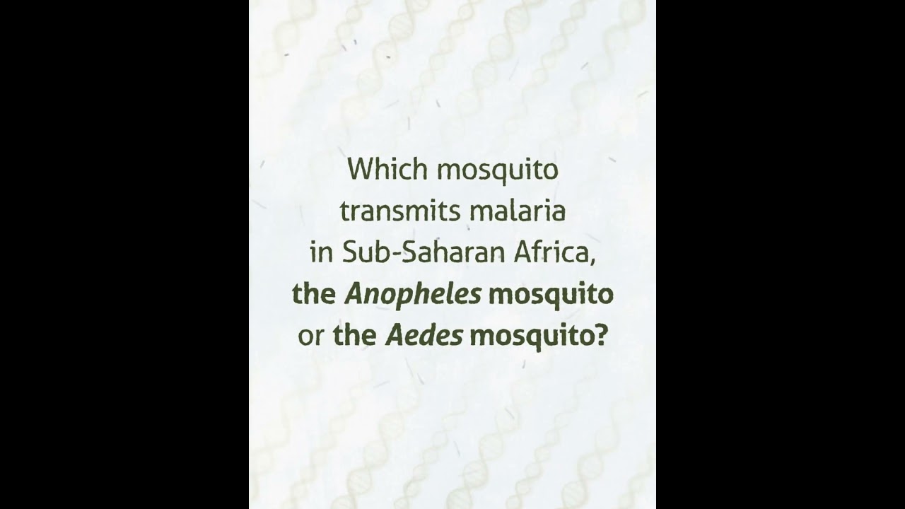 Which mosquito transmits malaria in Sub-Saharan Africa?