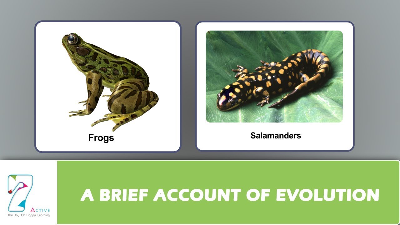 A BRIEF ACCOUNT OF EVOLUTION