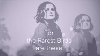 The Rarest Birds lyrics