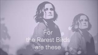The Rarest Birds lyrics