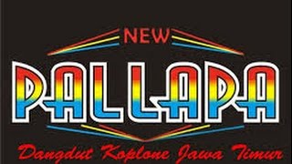 Download lagu new Pallapa terbaru 2015 2016 full album Banyuwangian mp3