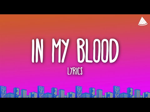 Shawn Mendes - In My Blood (Lyrics)