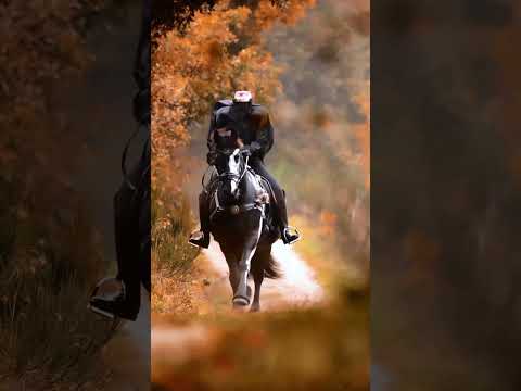 The Haunting Truth About the Headless Horseman: Nightmares Await