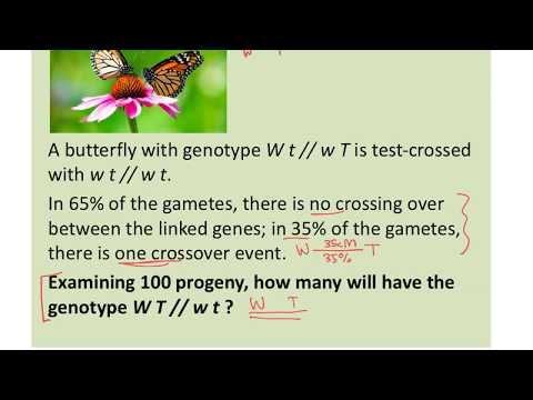 BIOL183: Gene Linkage Problems 2