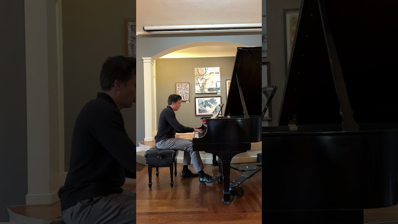 Promotional video thumbnail 3 for Chris Lele - Piano