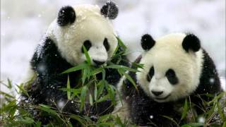 Norman Brown - Together at last *SMOOTH JAZZ CHILE*