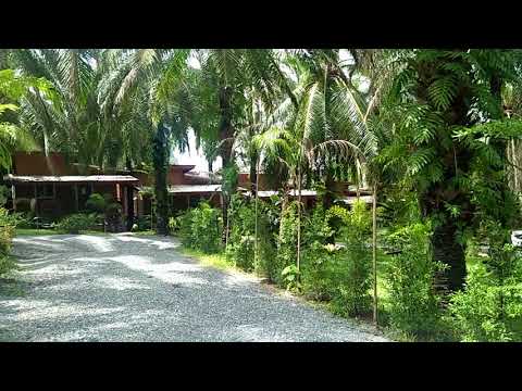 Excellent Business Opportunity - 22 Bungalow Rental Property in Popular Ao Nang, Krabi