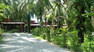 Excellent Business Opportunity - 22 Bungalow Rental Property in Popular Ao Nang, Krabi