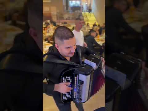 BEST MOMENTS - ALEKSANDAR PERIC - SVECANA SALA KAMELEON