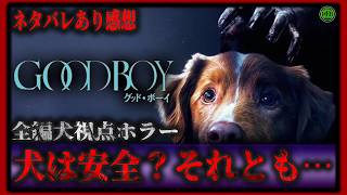 ネタバレあり！『GOOD BOY グッドボーイ』犬視点ホラー！犬は安全？ホラー映画紹介【映画紹介】