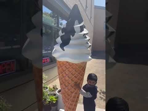 Yummy icecream..🍦🍦#shorts #yummyicecream