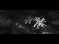 Banda Eddie - Fuleragem (Clipe Não Oficial)
