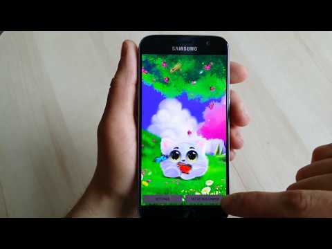 Animated Cat Live Wallpaper Video