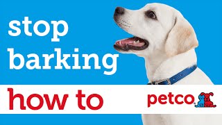 How to Train Your Dog to Stop Barking (Petco)