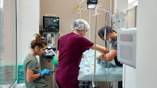 Your Trusted Source for Biomedical Replacement Parts