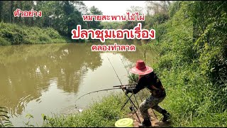 เปิดหมายใหม่ ✨ต้องข้ามสะพานไม้ไผ่ไปถึงได้ตกปลาชุมมาก 🎏🐟🐟  #คลองท่าลาด #ตกปลา #fishing #อนันต์ชาแนล