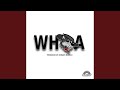 Whoa - Various Artists - Topic Whoa