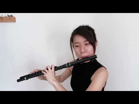 Shostakovich violin concerto flute solo with plastic flute (nuvo student flute)