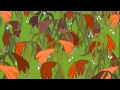 Fishtronaut17
