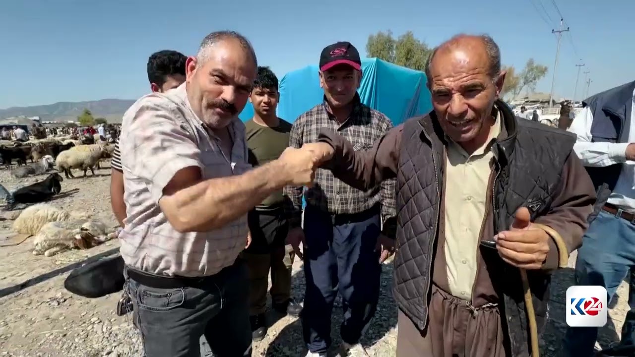 ڤیدیۆ | بازاڕه‌كانی كڕین و فرۆشتنی ئاژه‌ڵ له‌ زاخۆ قه‌ره‌باڵغن