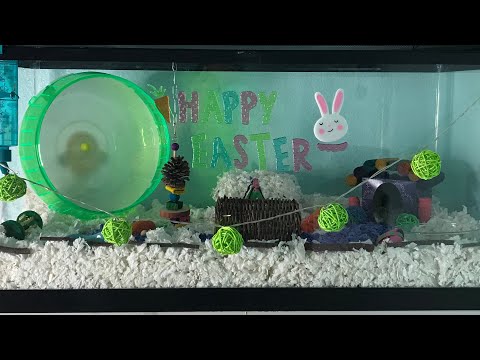 Easter Themed Hamster Cage / 2018