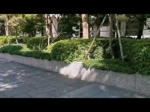 random guy telling keekihime to die