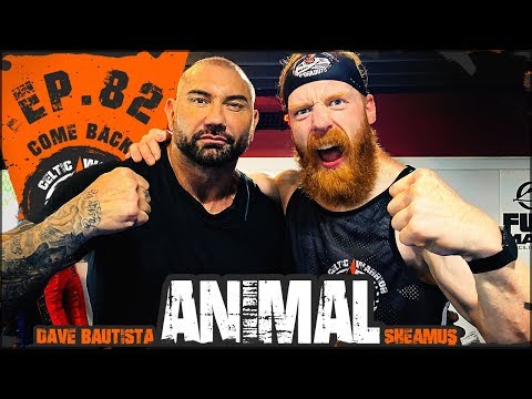 WATCH: Celtic Warrior Workouts — Batista The Animal | Ep.82 MMA Cardio Workout