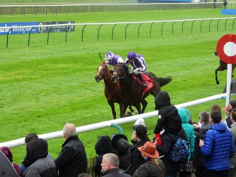 DELACROIX Emirate Autumn Stakes (G3) 2024