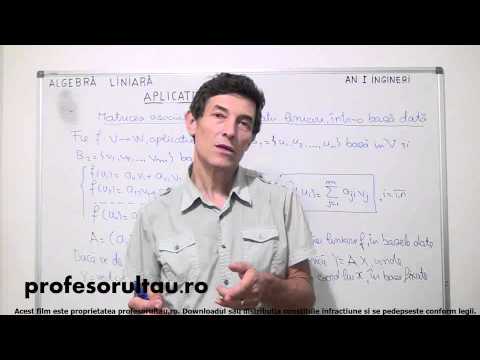 32   Aplicatii liniare   partea 4 - profesorultau.ro