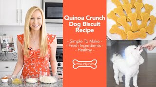 grain free dog treats recipes with coconut flour