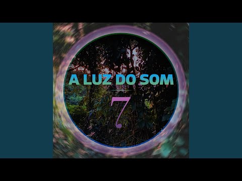 Balanço da Floresta