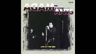 ADAM ANT – Gotta Be A Sin – Live At The BBC 13/1/95