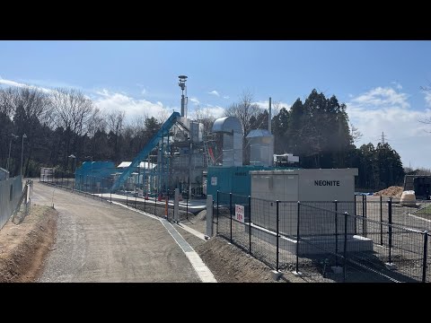 斑点のある蘭にガスを浴びた (Aporia crataegi)