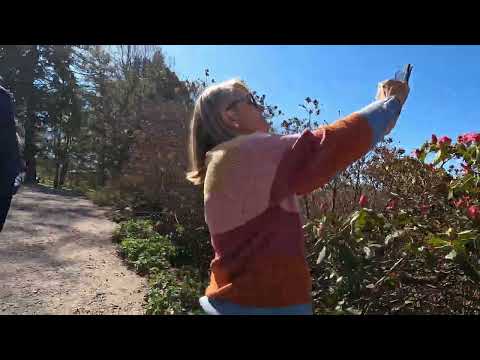Gothenburg Botanical Garden on a beautiful day when cherry trees are in bloom