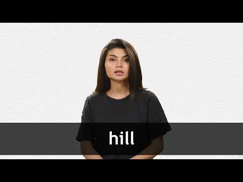 HILL meaning, definition & pronunciation, What is HILL?