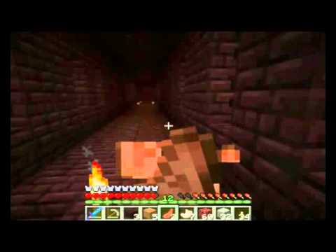Minecraft #9  Fiore del Nether