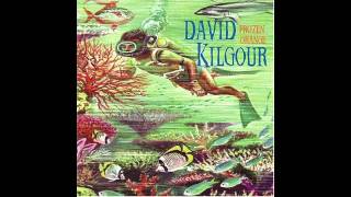 A Head Full of Rolling Stones - David Kilgour