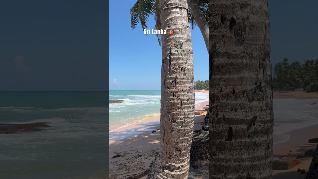 YouTube Short thumbnail