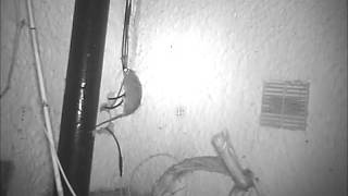 [問題] 室內 戶外 網路線差別?