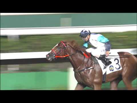 27/10/2021 (130) Gunnison - Derek Leung