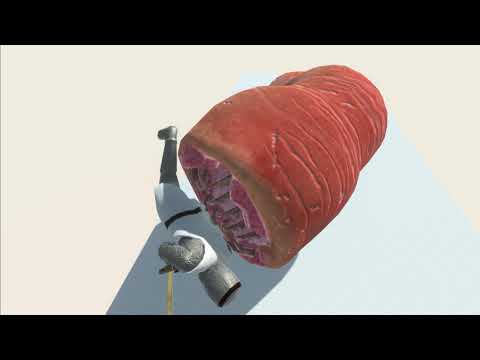 TEUTONIC KNIGHT vs SAME SIZE EVERY UNIT - Animal Revolt Battle Simulator