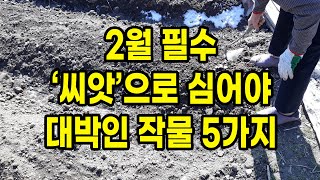 2월 필수 작물 씨앗으로 심어야 대박인 5가지