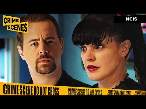 The Day Abby Quit NCIS | NCIS (Mark Harmon, David McCallum, Pauley Perrette)