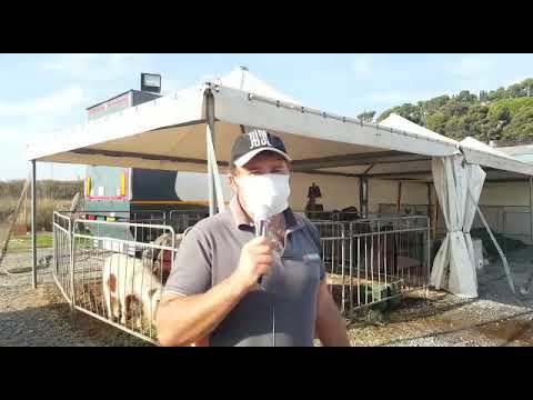 Generico luglio 2022