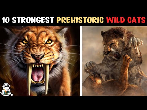 10 Most Powerful Prehistoric Wild Cats
