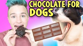 DIY CHOCOLATE BAR FOR DOGS ! And People, I Guess