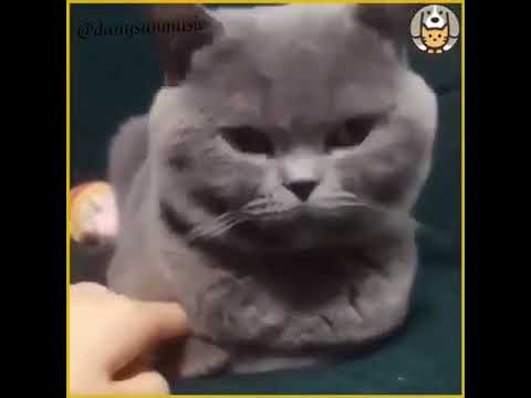 Daniel Sánchez   Las Horas Más Linda    Full HD 2021